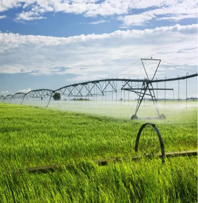 1693026481127593.png 1693026481127593.png